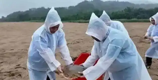 The Western Traveler, a call from the fishermen to save the animals at the state level