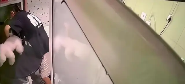 The guy at the store didn't bathe the dog nice enough
