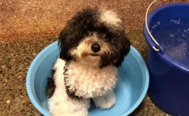 I love bathing