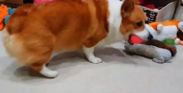 Daddy said he'd take a shower and Corky's gonna make a big noise