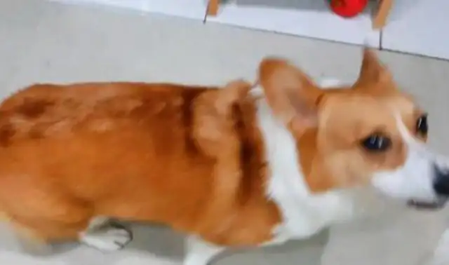 Daddy said he'd take a shower and Corky's gonna make a big noise