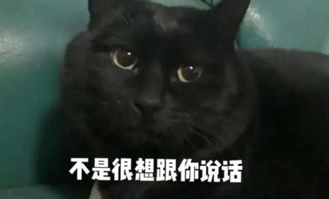 "Take a field cat to bathe in a pet store and be turned away."