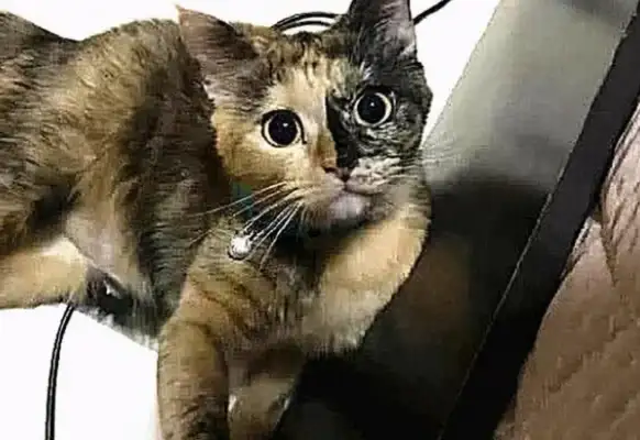 In the shower, there was a loud sound in the living room