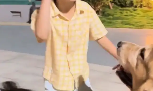 The little boy tried to touch the gold hair, but he held it tight