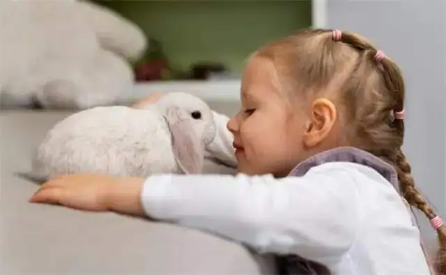 Does a rabbit have to eat a tooth grinder