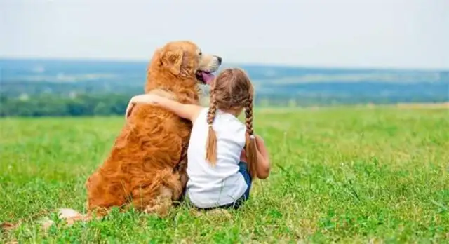 How do you play with a dog