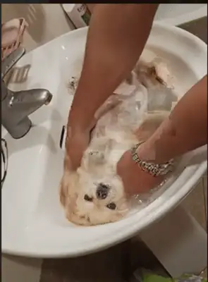 Little Bomi's bathing scene is stunned: Is this really a towel