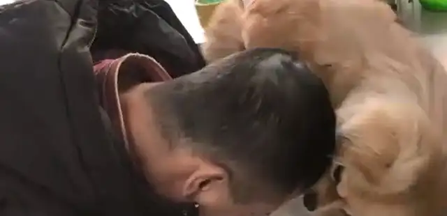 The dog saw his master bowing down,