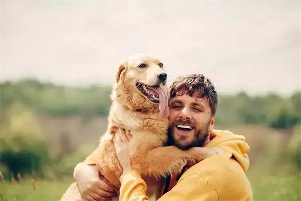Twenty-one interesting and popular dog techniques that dogs can train