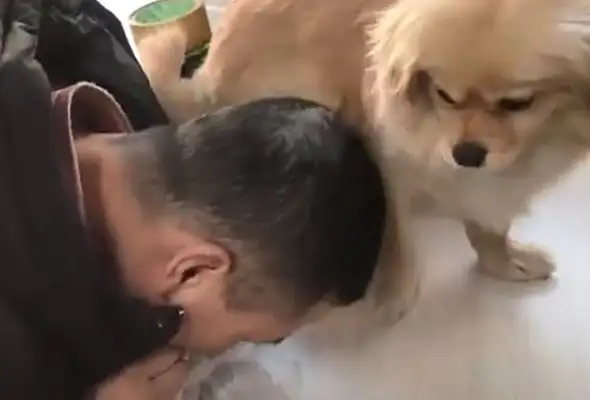 The dog saw his master bowing down,