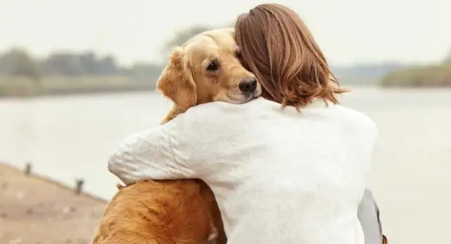 A pet's smart technology empowers aging care, and its economic wave revolutions. New Blue Sea