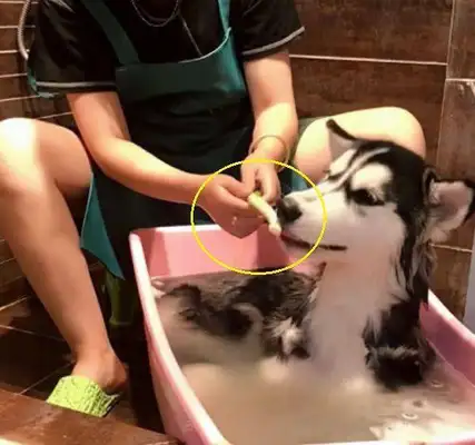 When I came home, I saw my husband bathing for 2-ha, and he came close to laughing at me: it tasted good