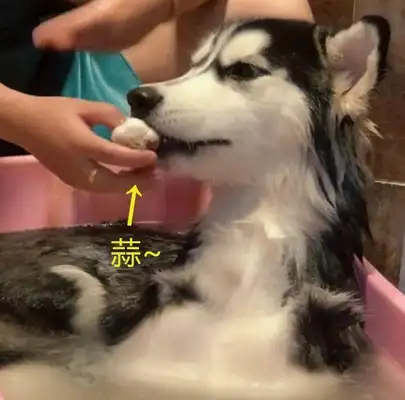 When I came home, I saw my husband bathing for 2-ha, and he came close to laughing at me: it tasted good