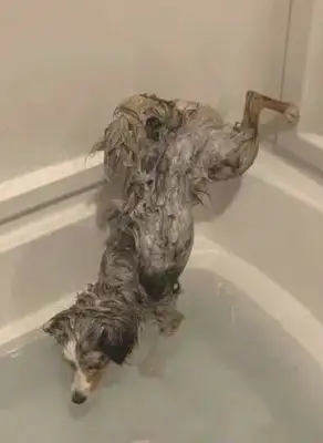 Wet ass when the German ranger showers, he opens up in the tub;