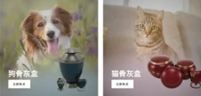 The cold-door pet funeral track built a brand of over $9 million a year