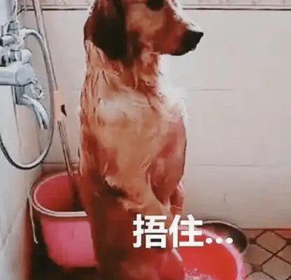 The master bathed the golden hair, left in an emergency, came back in half an hour to watch the blindfold
