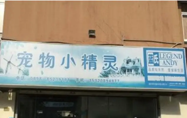 Take the pet to the pet store and take a bath. Internal