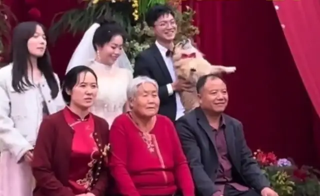 When the wedding ceremony is over, the dog comes to the stage and joins