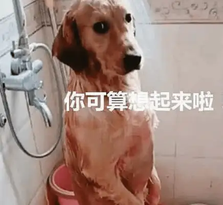 The master bathed the golden hair, left in an emergency, came back in half an hour to watch the blindfold