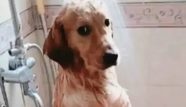 The lady took a bath for Big Gold hair, picked up a message, and came home with a smile