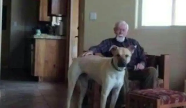 My son sent a dog to his father with the dementia and saw his family on the phone and cried. Noodles