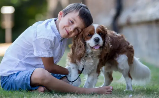 Smart devices drive the pet economy to grow in hundreds of billions of scales, and new opportunities arise