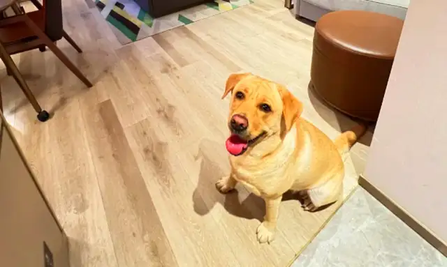 There's no need to run a foster home