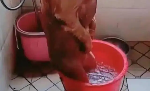 The lady took a bath for Big Gold hair, picked up a message, and came home with a smile