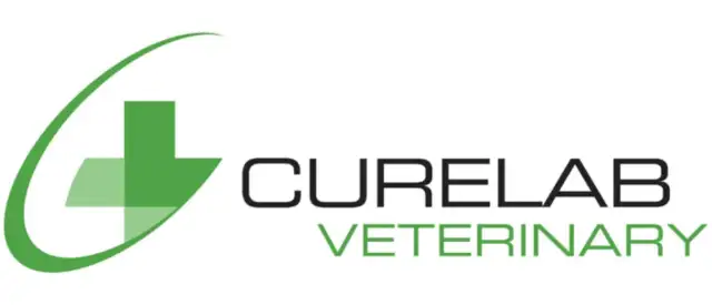 Genetic therapy only rejuvenations bone arthritis, which can effectively alleviate pet pain