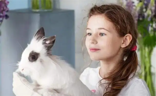 Does a rabbit have to eat a tooth grinder
