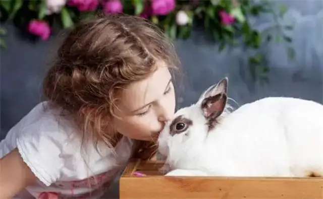 Does a rabbit have to eat a tooth grinder