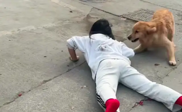 The dog didn't bite. Why would the master pay