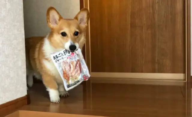 Koki took the snacks he was hiding and looked at the master with pity: Can we split