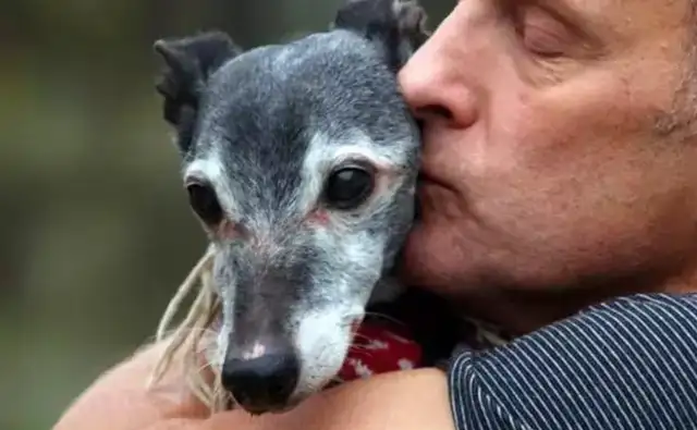 In Munich, Germany, a pet credit system continues to develop a pet culture