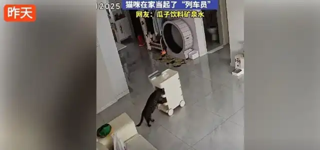 Gillin's cat is a trainman, pushing a snack truck around