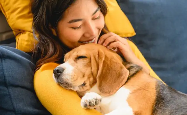 British study: The value of pets is equivalent to Pound70,000 per annum