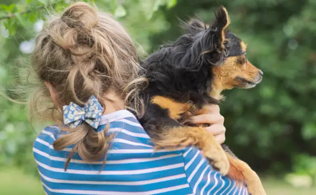 British study: The value of pets is equivalent to Pound70,000 per annum