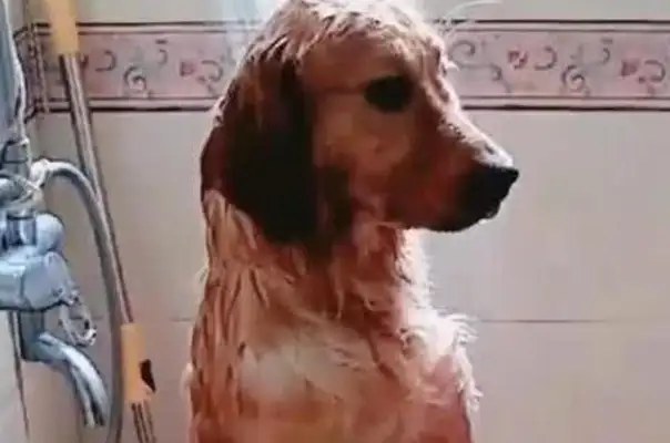 Did you get a phone call when you took a shower and then you came home and you cried
