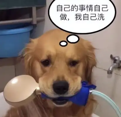 Blonde bathed himself. Half the accident took place. Squawk officials laughed. Foot