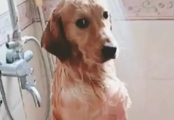 Did you get a phone call when you took a shower and then you came home and you cried