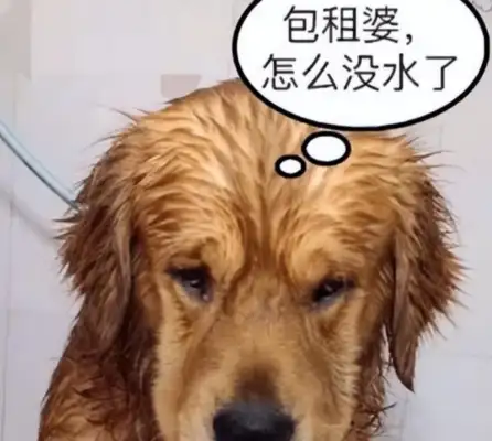 Blonde bathed himself. Half the accident took place. Squawk officials laughed. Foot