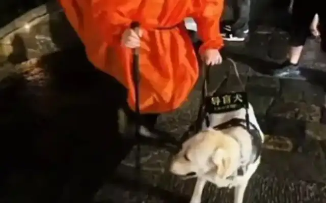 "Keyboard trial" is not desirable for blind people with guide dogs to climb Tarzan