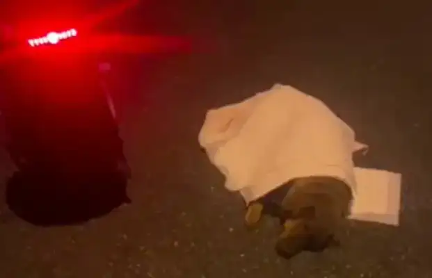 The sick golden hair is abandoned on the road, and the netizens feed and feed it with water