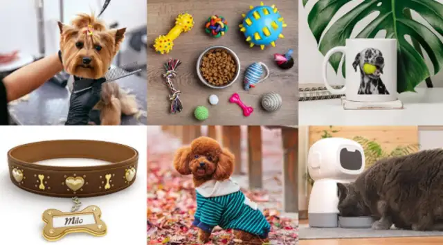 "Friendly pets"? Young people redefine the pet market