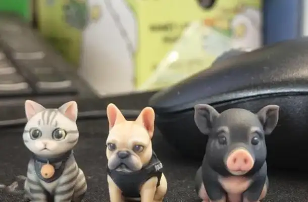 Customized pet souvenir heat, consumers looking for emotional exits in their ritual senses