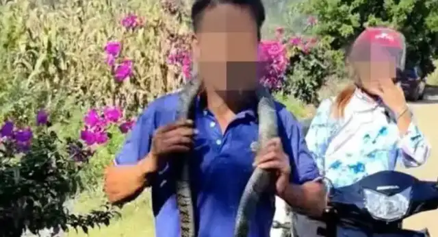 A man in Guizhou hangs a cobra around his neck and is bitten to death. Life
