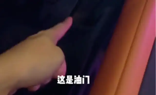 The man was drunk and treated his own cat as a driver. Cat: You can ride me back
