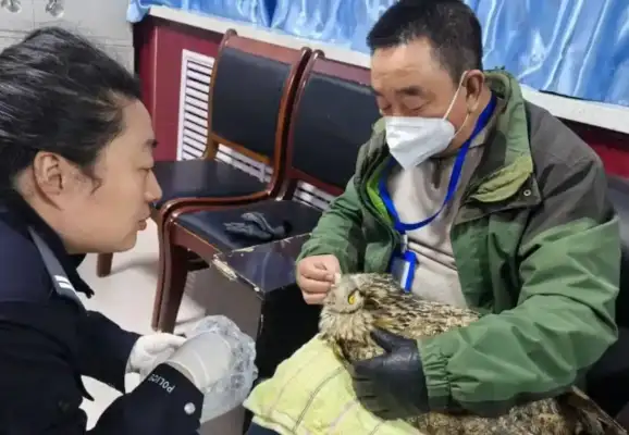 Together with the Quiet Police, we have succeeded in saving the nation's second-degree animal sculptor