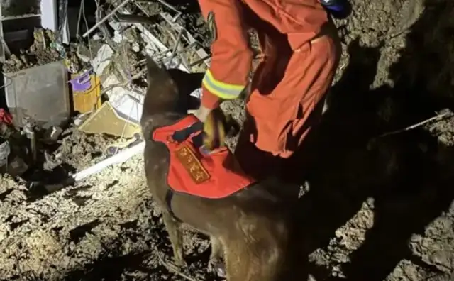 3 saved by Typhoon Yulin Fire Search and Rescue Dog: Fury Child Soldiers running with Time