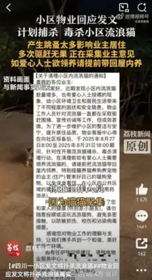 Sichuan's small district is planning to kill stray cats